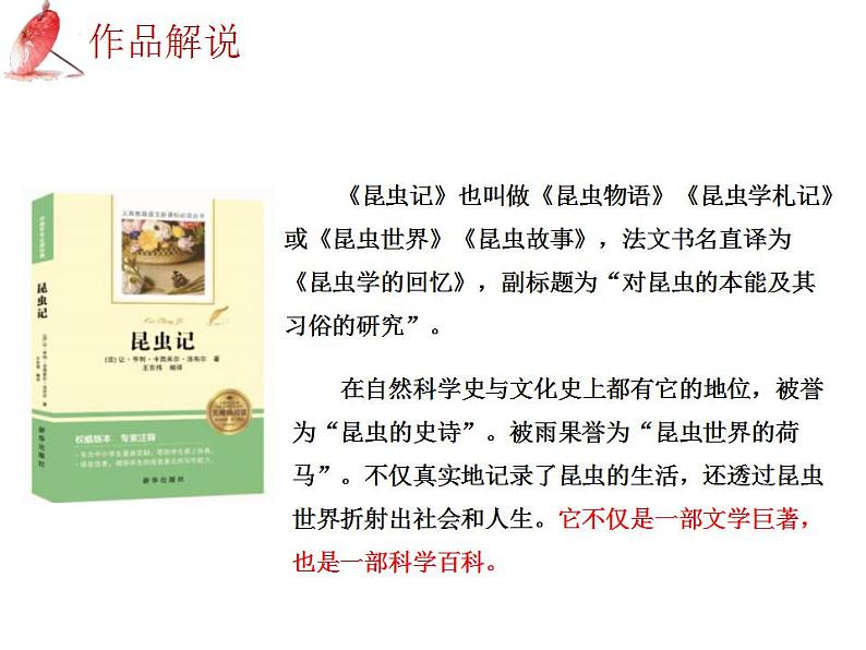 中考语文二轮复习高频考点精讲课件 第3讲 名著导读之《昆虫记》昆虫的世界(含答案)05
