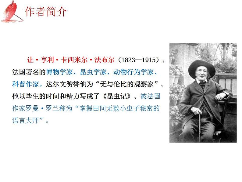中考语文二轮复习高频考点精讲课件 第3讲 名著导读之《昆虫记》昆虫的世界(含答案)06