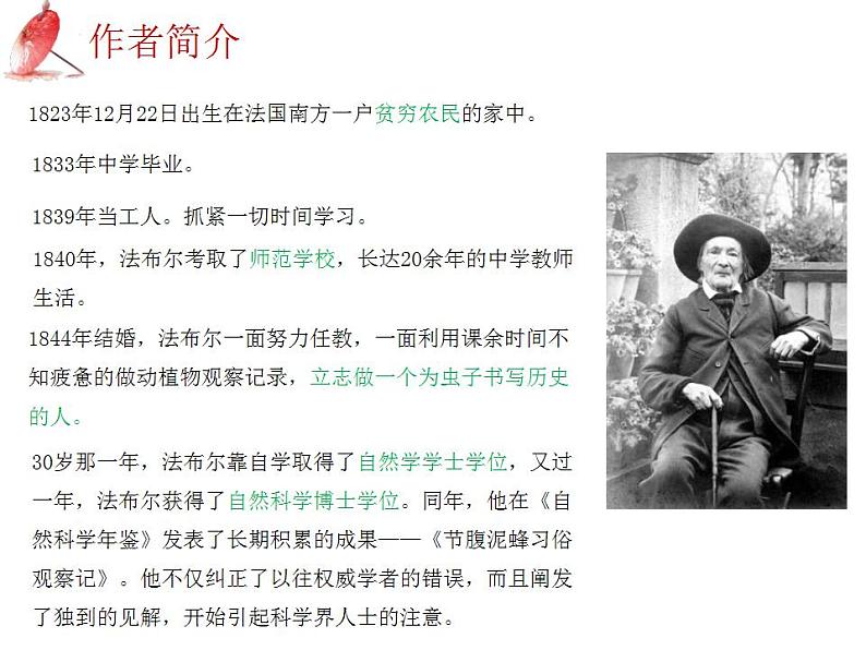 中考语文二轮复习高频考点精讲课件 第3讲 名著导读之《昆虫记》昆虫的世界(含答案)07