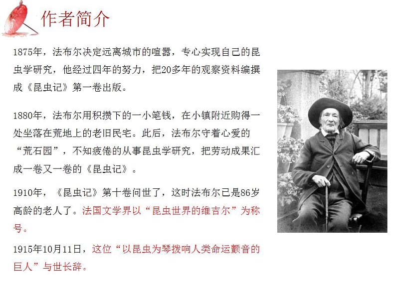 中考语文二轮复习高频考点精讲课件 第3讲 名著导读之《昆虫记》昆虫的世界(含答案)08