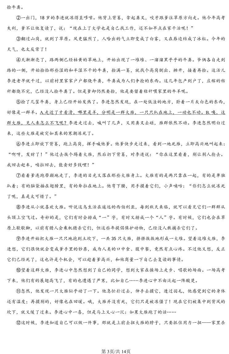 河南省驻马店市2024年九年级中考一模（天宏大联考）语文试题卷及答案03