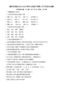 湖南省衡阳市衡阳市四校2023-2024学年七年级3月下学期月考语文试题（原卷版+解析版）