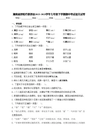 湖南省邵阳市新邵县2022-2023学年七年级下学期期中考试语文试卷(含答案)