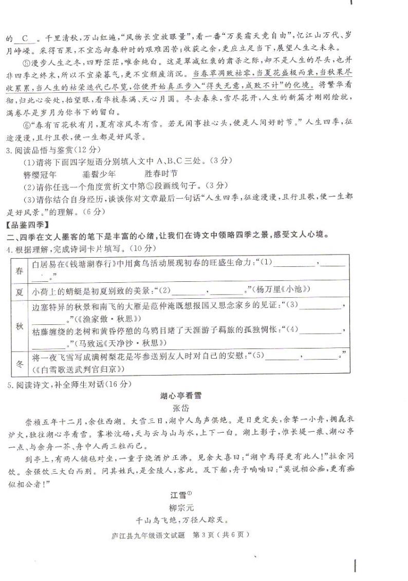 2024年安徽省合肥市庐江县中考一模语文试题03