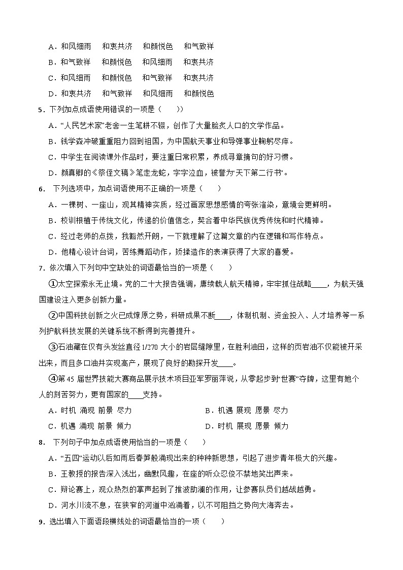 04词语运用-中考语文专题复习(原卷版)第2页