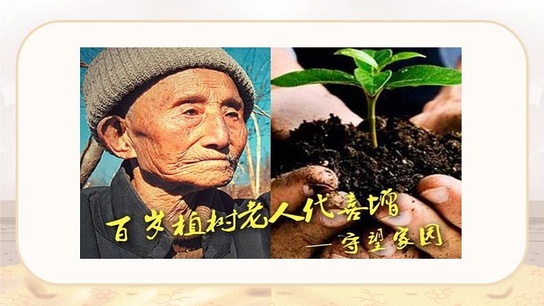 第18课 《青山不老》(教学课件)-2023-2024学年六年级语文下册同步精品课堂系列(统编版·五四制)第7页