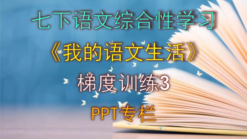 七下语文综合性学习《我的语文生活》梯度训练3 PPT版01