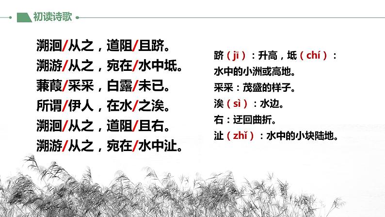 第12课《蒹葭》教学课件2023-2024学年统编版语文八年级下册第4页