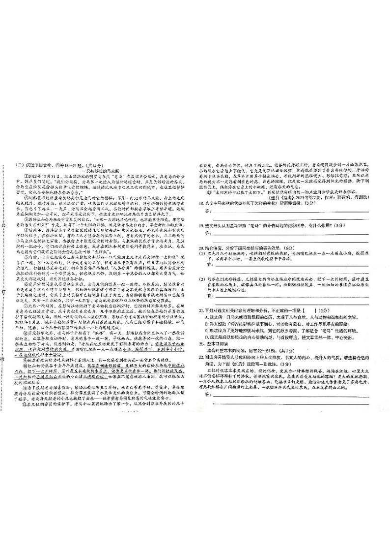 河北省邯郸市馆陶县两校联考2023-2024学年九年级下学期4月期中语文试题03