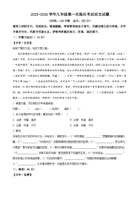 2024年山東省武城縣禹城市中考一模語文試題（原卷版+解析版）