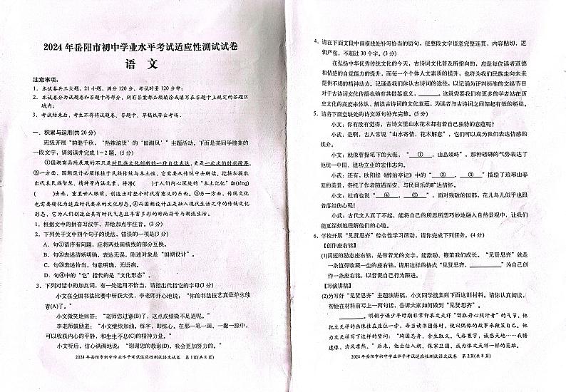 2024年湖南省岳阳市岳阳县中考一模语文试卷01