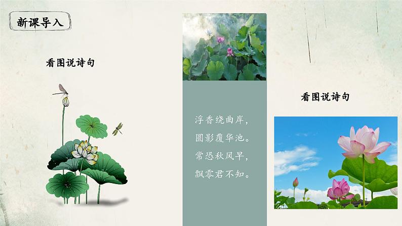 第17课 短文两篇 《爱莲说》课件第2页
