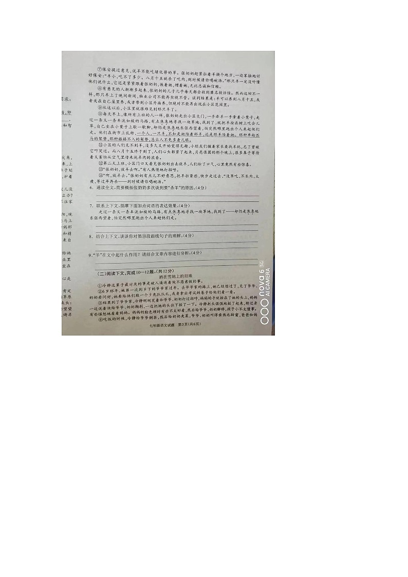 河南省驻马店市平舆县2023-2024学年七年级下学期4月期中语文试题第3页