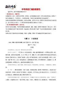 专题16 小说阅读-【真题汇编】三年（2021-2023）中考语文真题分项汇编（全国通用）