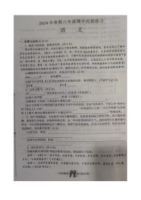 河南省南阳市南召县2023-2024学年八年级下学期4月期中语文试题（图片版无答案）
