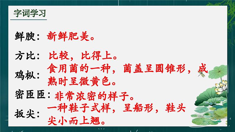 第17课《昆明的雨》课件08