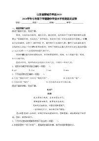 山东省聊城市莘县2023-2024学年七年级下学期期中学业水平检测语文试卷(含答案)