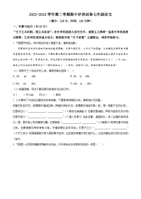 河南省平顶山市宝丰县2023-2024学年七年级下学期期中语文试题(原卷版+解析版)