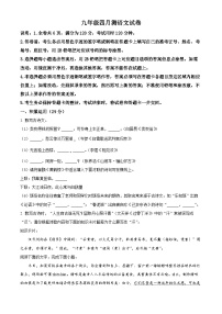 2024年廣東省茂名市濱海新區(qū)中考二模語(yǔ)文試題（原卷版+解析版）