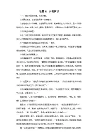 专题11 小说阅读－七年级语文下学期期末专题复习（江苏专用）