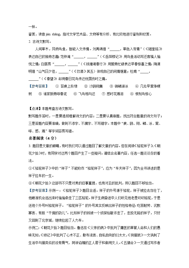 2023年河南省濮阳市中考一模语文试题(解析版)02