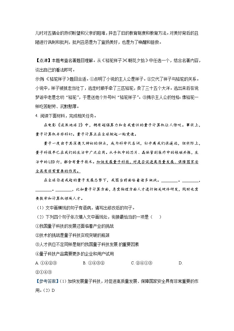 2023年河南省濮阳市中考一模语文试题(解析版)03