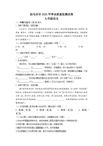 2023年河南省驻马店市中考二模语文试题（学生版）