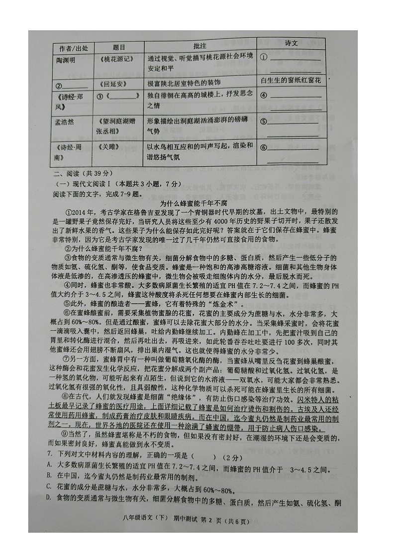 广西壮族自治区北海市合浦县2023-2024学年八年级下学期5月期中语文试题02