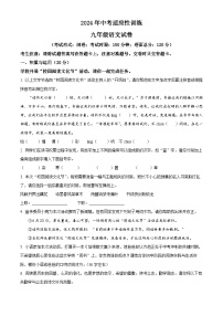 湖北省宜昌市夷陵区2023-2024学年九年级下学期期中语文试题（原卷版+解析版）