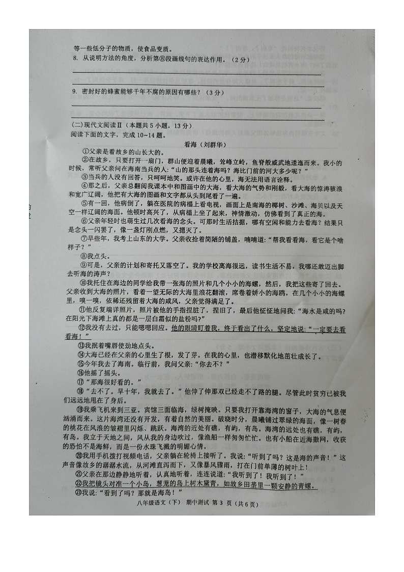 广西壮族自治区北海市合浦县2023-2024学年八年级下学期5月期中语文试题第3页