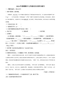 河南省南阳市内乡县2023-2024学年七年级下学期期中语文试题（原卷版+解析版）