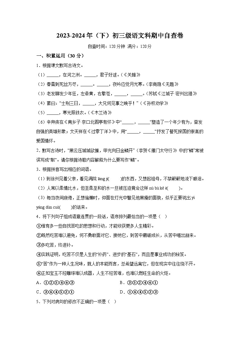 2024年广东省省东莞市长安实验中学中考二模语文试题(含解析)01