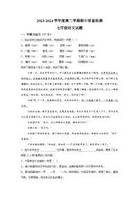 山东省枣庄市台儿庄区2023-2024学年七年级下学期期中语文试题（含解析）