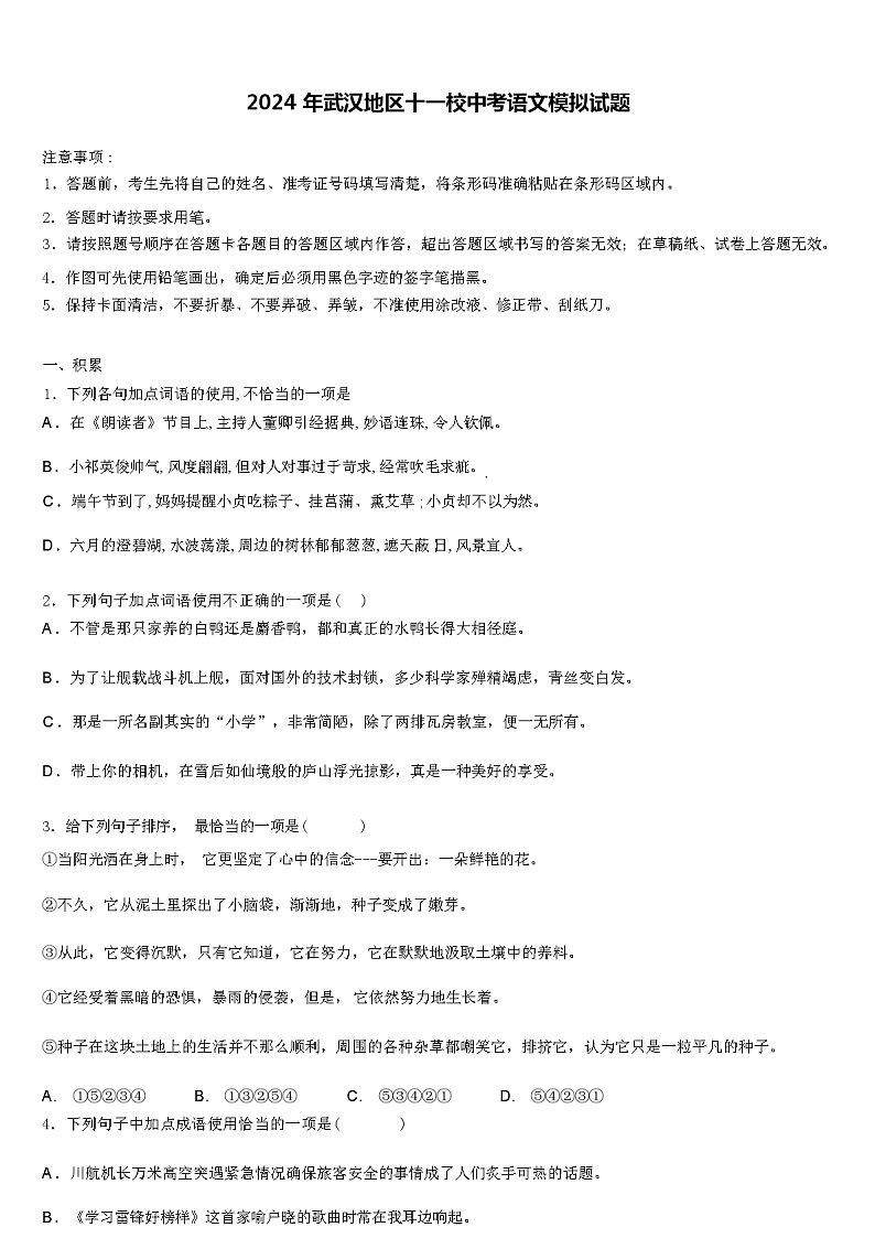 2024 年武汉地区十一校中考语文模拟试题(解析版)01