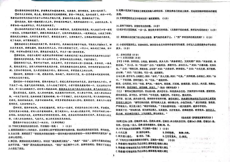 2024年四川省自贡市富顺县代寺学区中考二模语文试题03