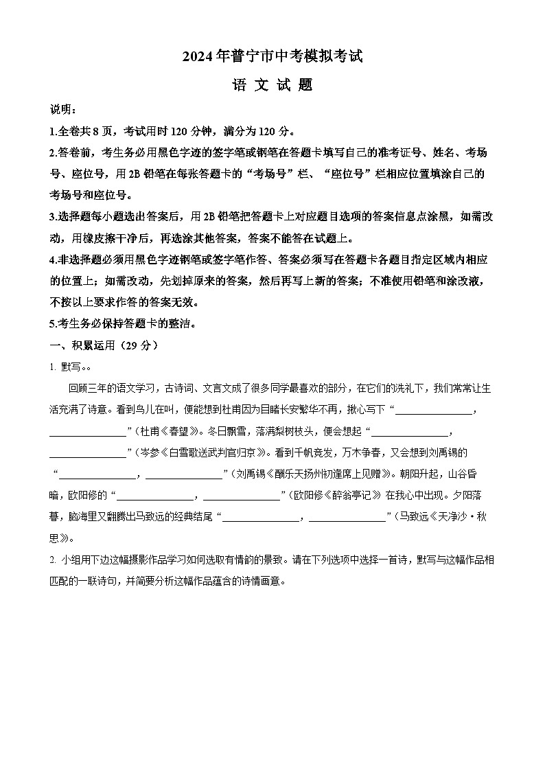 2024年广东省揭阳市普宁市中考一模语文试题(原卷版+解析版)01