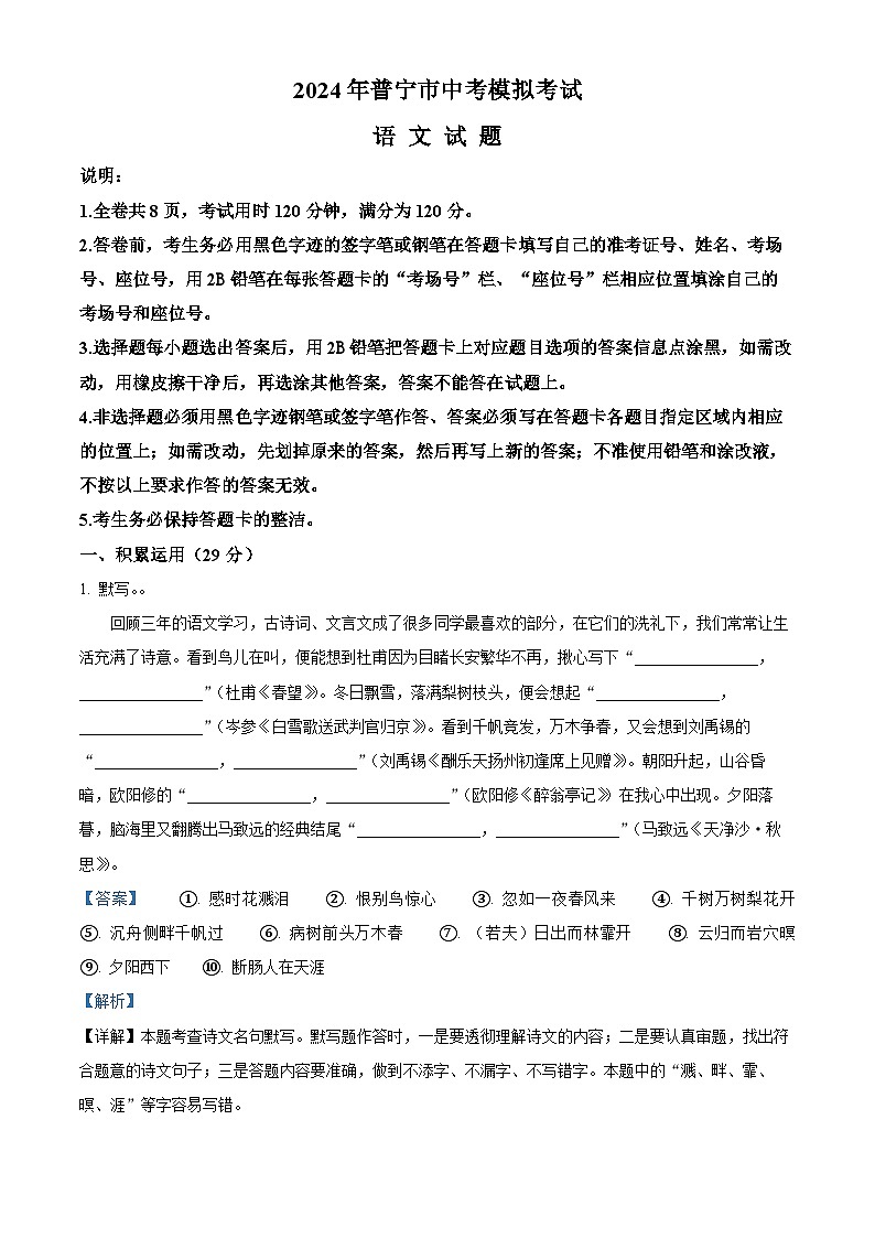 2024年广东省揭阳市普宁市中考一模语文试题(原卷版+解析版)01