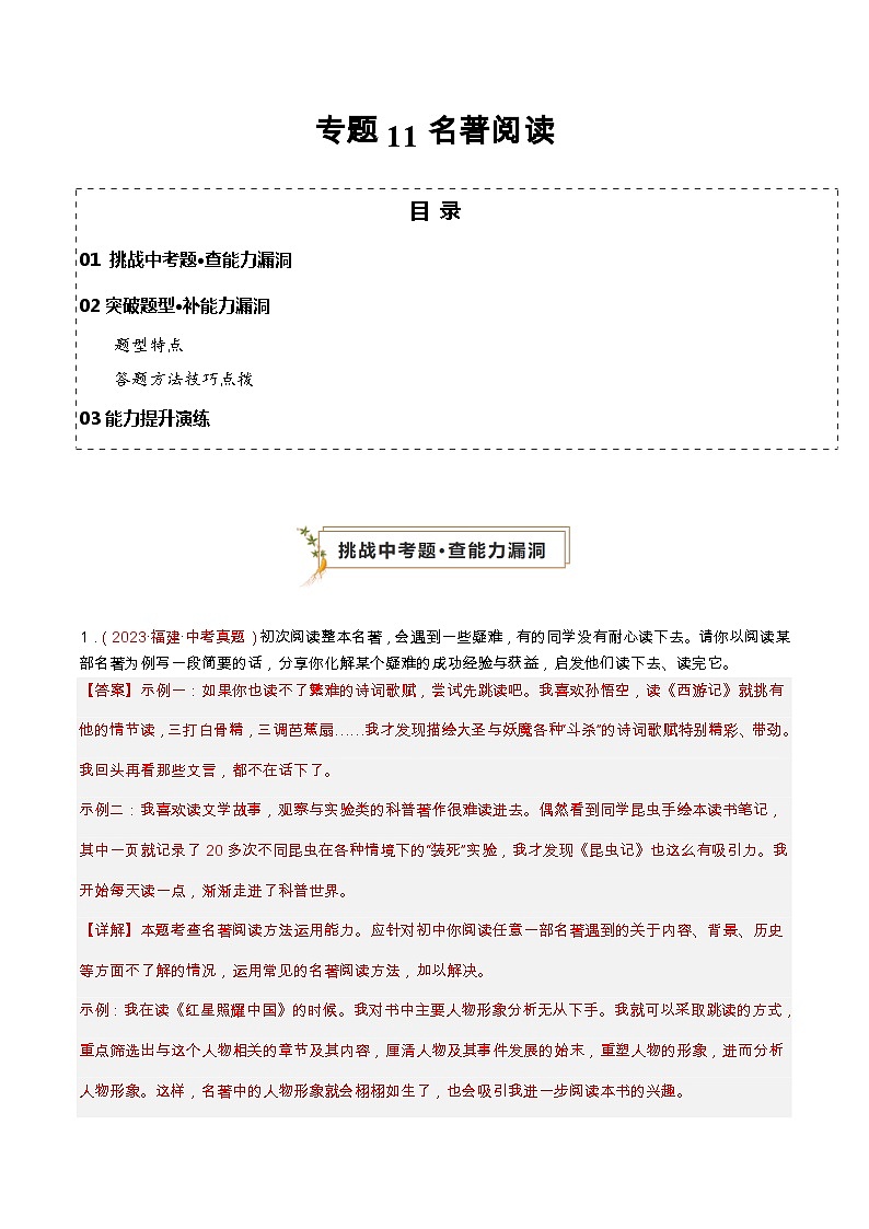 专题11 名著阅读(查补能力·提升练)(解析版)第1页