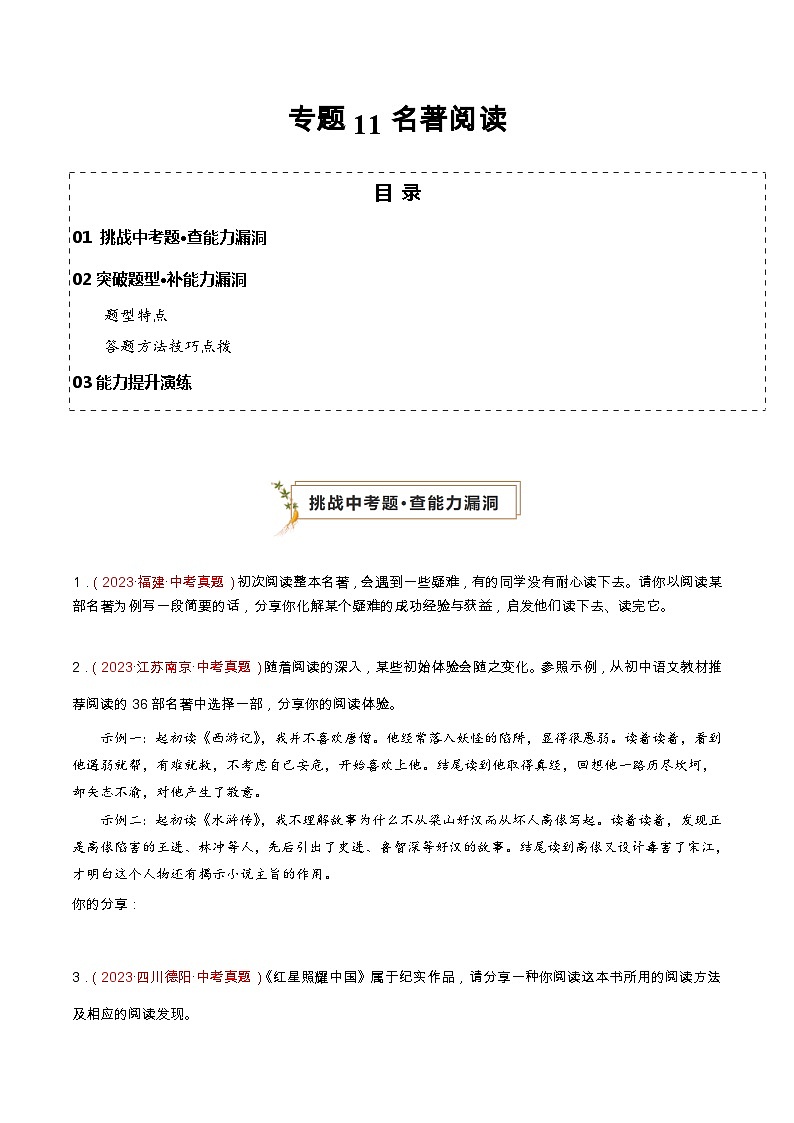 专题11 名著阅读(查补能力·提升练)(原卷版)第1页