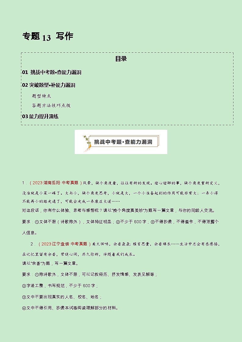 专题13 写作(查补能力·提升练)(原卷版)第1页