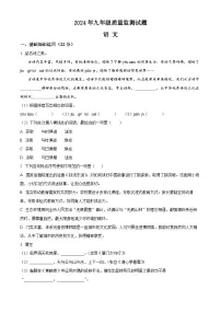 2024年河南省驻马店市驿城区中考三模语文试题(原卷版+解析版)
