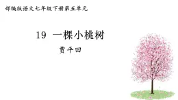 第19课《一棵小桃树》课件2023—2024学年统编版语文七年级下册