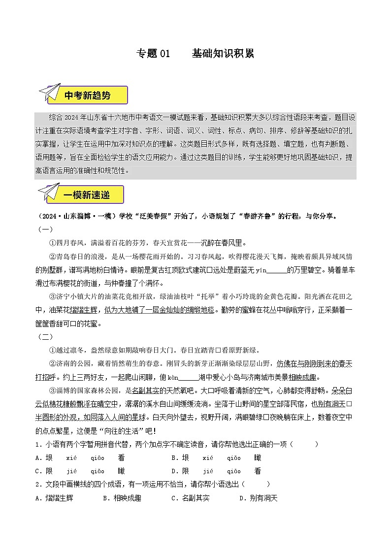 专题01    基础知识积累(新题型)(原卷版)第1页
