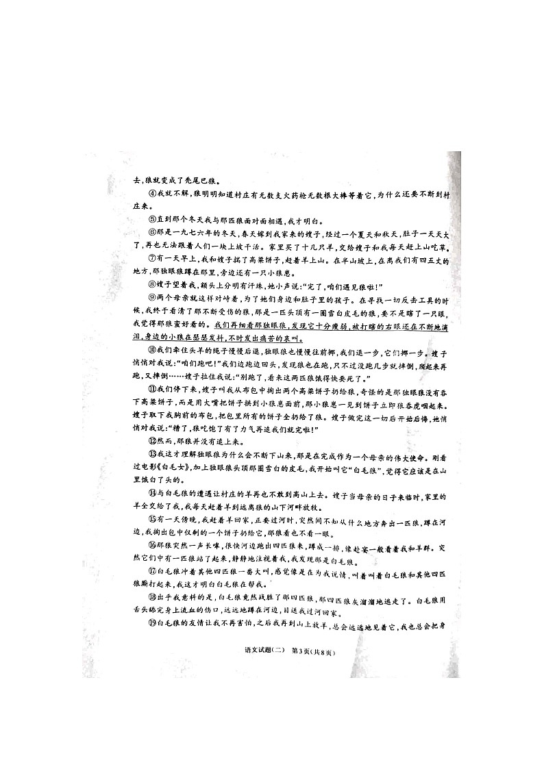 2024年河南省周口市项城市中考二模语文试题03