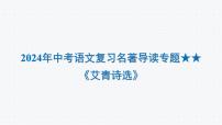 2024年中考语文复习名著导读专题★★《艾青诗选》课件