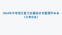2024年中考语文复习名著综合专题《艾青诗选》课件