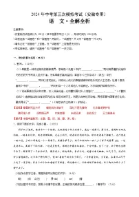 2024年中考第三次模拟考试题：语文（安徽卷）（解析版）