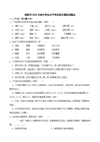 2024年四川省绵阳市初中学业水平考试语文模拟试题（五）