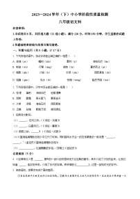 陕西省咸阳市泾阳县2023-2024学年八年级下学期期中语文试题