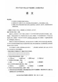 2024年新疆维吾尔自治区中考三模语文试题